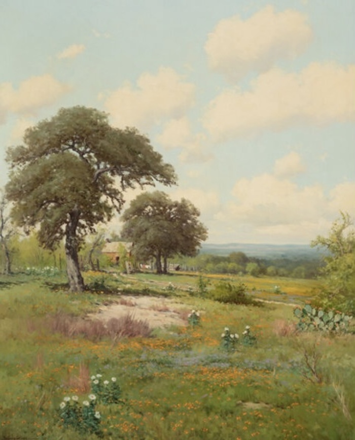 “Hill Country in Spring “