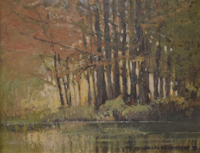 "South Fork Of The Guadalupe River"