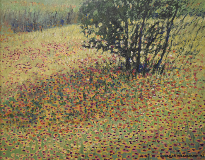 "Lazy Susans" Texas Wildflowers