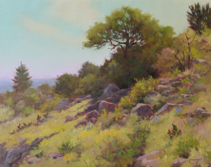 "Hillside Habitat"  Texas Hill Country