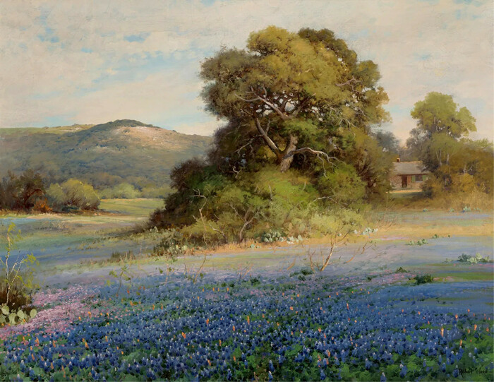 "Blue Heaven" Bluebonnets