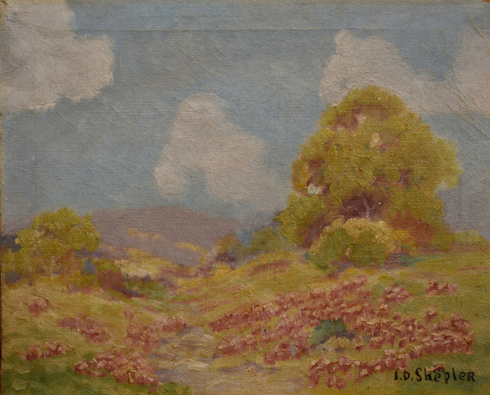 "Indian Paintbrush"  Texas Wildflowers