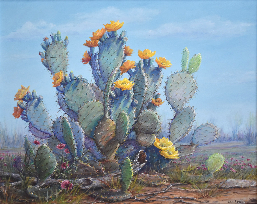 Exa Wall The Sun Worshiper Blooming Prickly Pear Cactus 1623 Exa Wall The Sun Worshiper Blooming Prickly Pear Cactus 1623