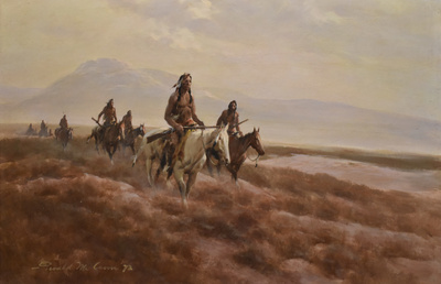 In search of buffalo4