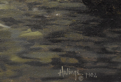 Hot springs  mexico7