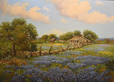 Bluebonnet4
