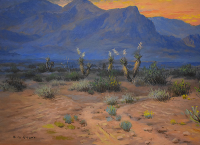 Franklin mountains  desert sunset5