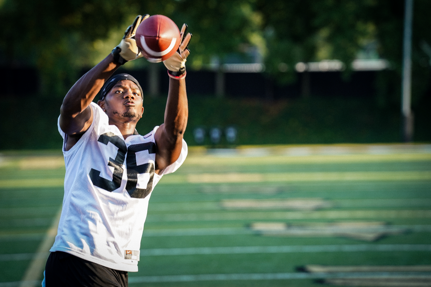 Trey ellis biography 07 picture