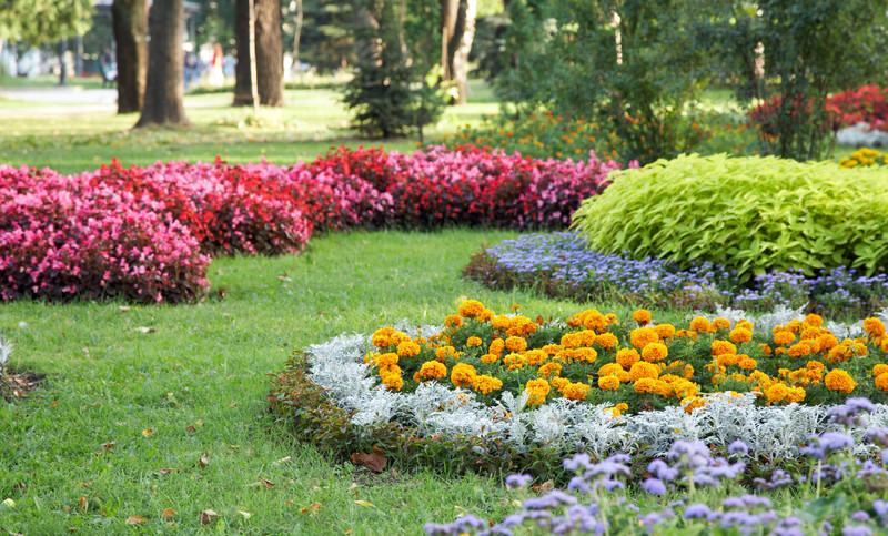 How to Upgrade Your Curb Appeal