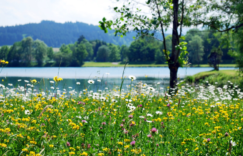 Springtime Events at Smith Mountain Lake
