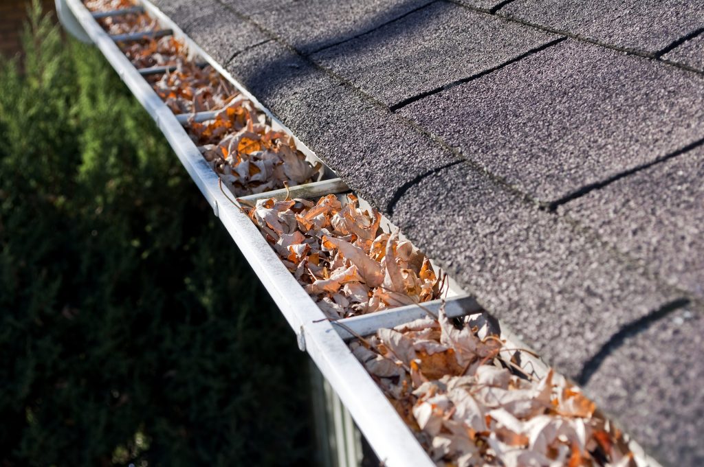Tips for Spring Home Maintenance