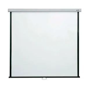 Telon Mural 2.13 X 2.13 m (RW8484) (84" x 84") 18856