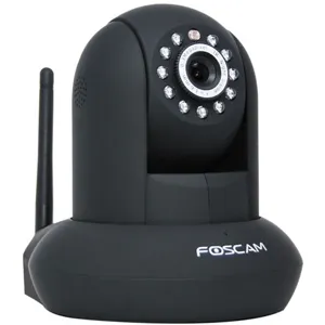 Camara IP Wireless PAN/Tilt IR-Cut Filter Night Vision FI8910W