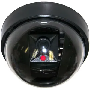 IMITACION Camara  tipo DOMO con Flashing Light LED	 pnDMY03D