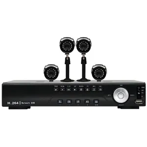 8CH H264 DVR w/ 4 x  CCD Camera 500GB HDD