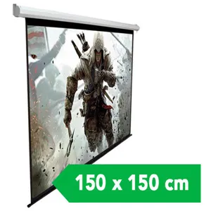 Telon Mural Dinon 150X150 - 9326