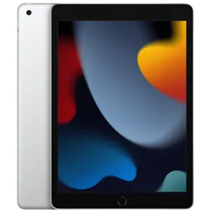 iPad 10,2" (9a Generación, Wi-Fi, 64GB) - Color Plata - MK2L3CI/A