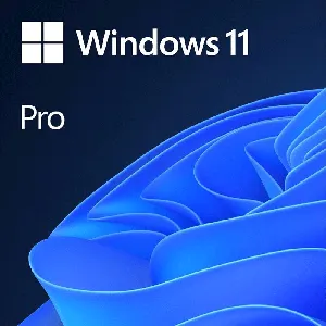 Windows 11 Pro ESD Descargable Transferible 64-bit 1 PC FQC-10572