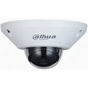 Camara de Seguridad IP Fisheye Dahua® 5MP IP67 IK10 Wizmind - DH-IPC-EB5541-AS