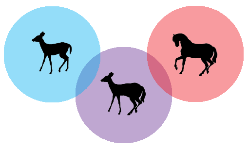 Venn Diagram - fawn to horse