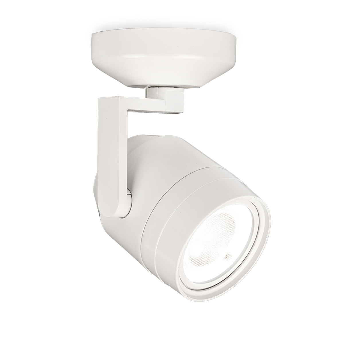 paloma-led522-2