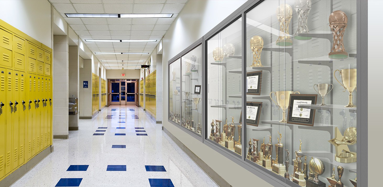 Recessed Display Cases Inset Wall Display, Trophy Case Waddell