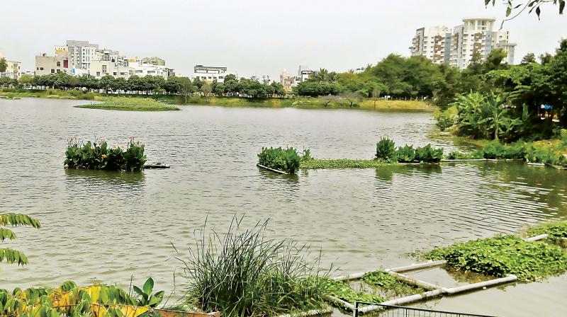 Artificial Islands: Reliable and a low-cost technology to revive lakes 2