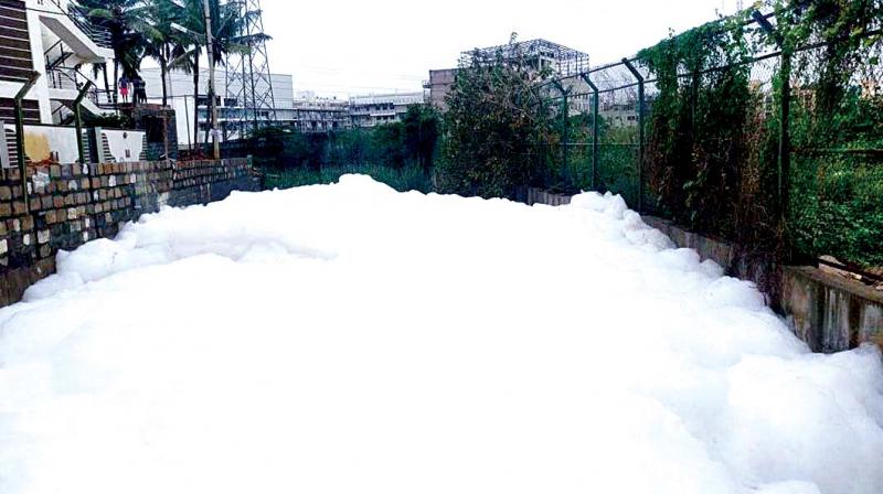 A Ray of Hope for the Frothing Kaggadasapura Lake at Bangalore: Setting up of Sewage Treatment Plant 2