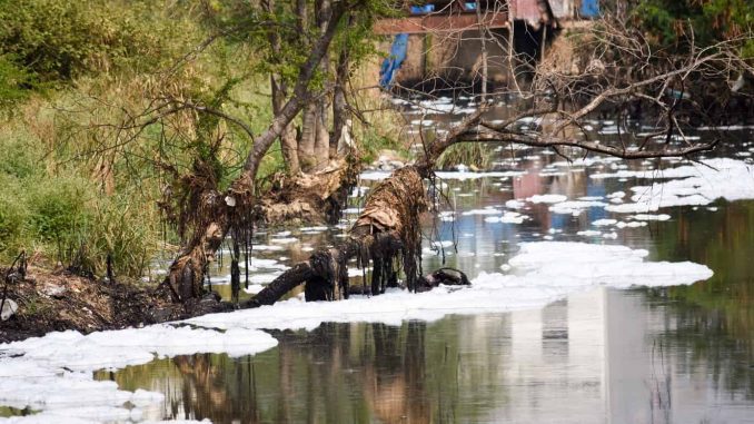Dumping Medical Waste, Effluents into the Waters: 125 Karnataka Lakes in Critical Condition 2