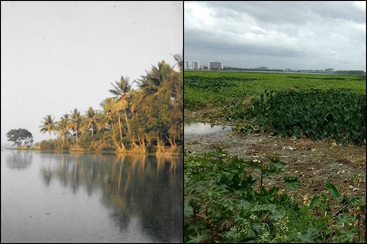A Walk Down the Memory Lane Of Bellandur Lake 2