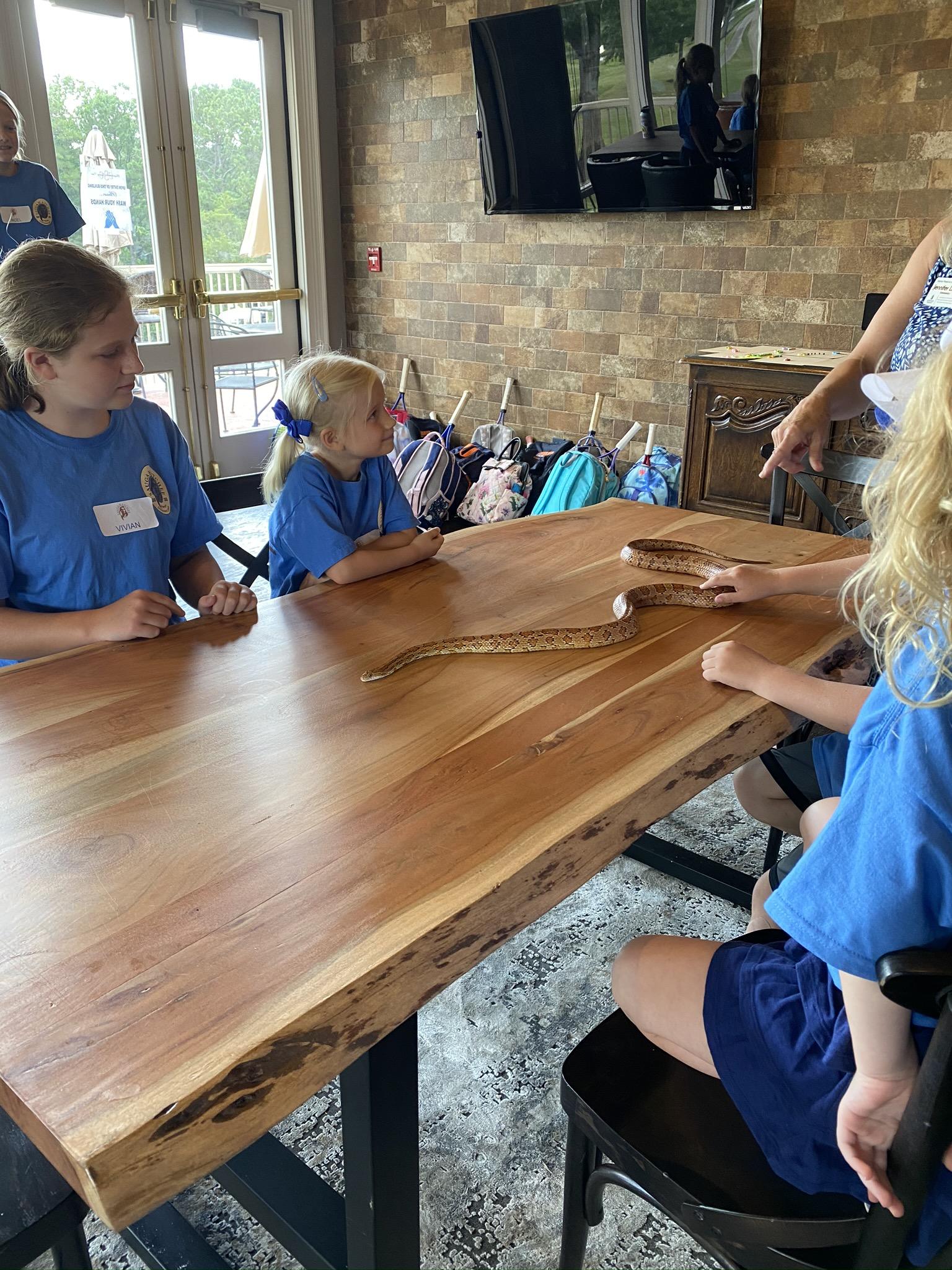 Kids Discovery Camp 2020