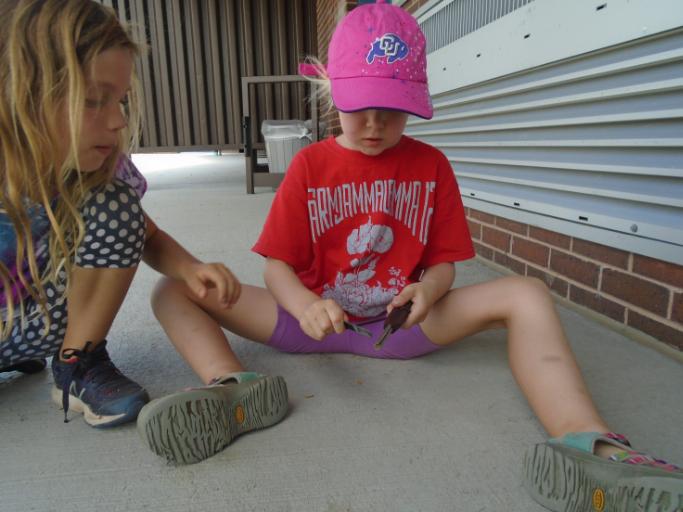 Survival Skills Camp 