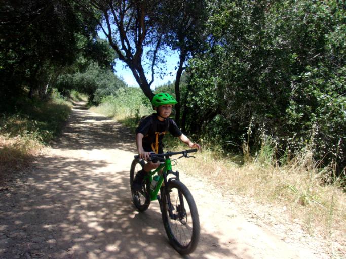 Mountain Biking Skills Camp 