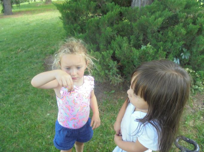 07/29/2019 - 08/02/2019