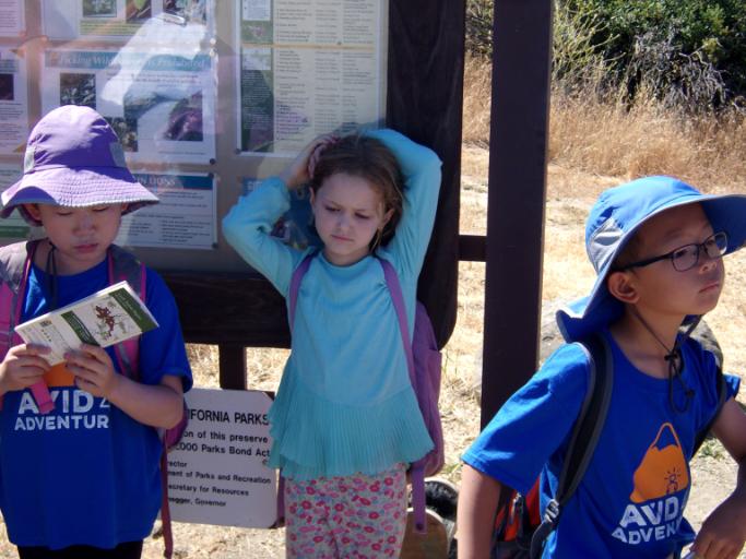 Survival Skills Camp 