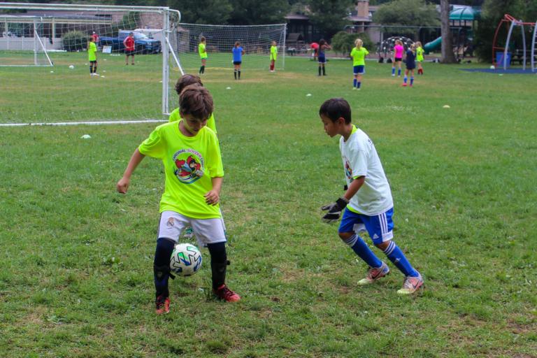 Week 7 (August 10th-August 14th)