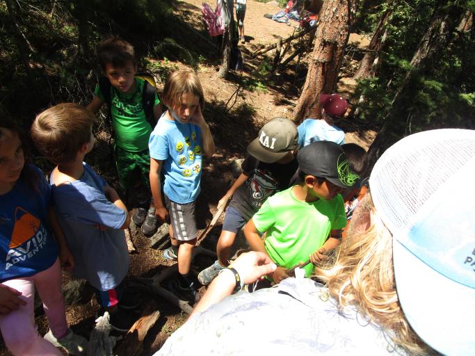 Survival Skills Camp