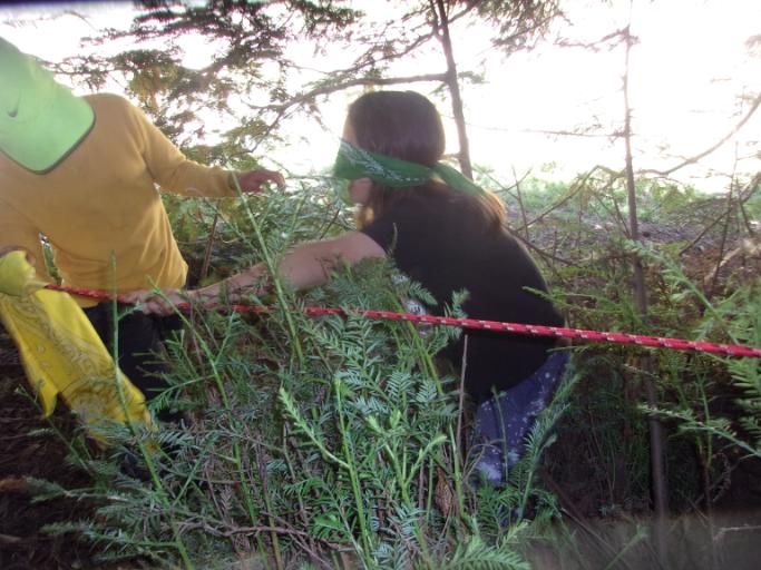 07/29/2019 - 08/02/2019