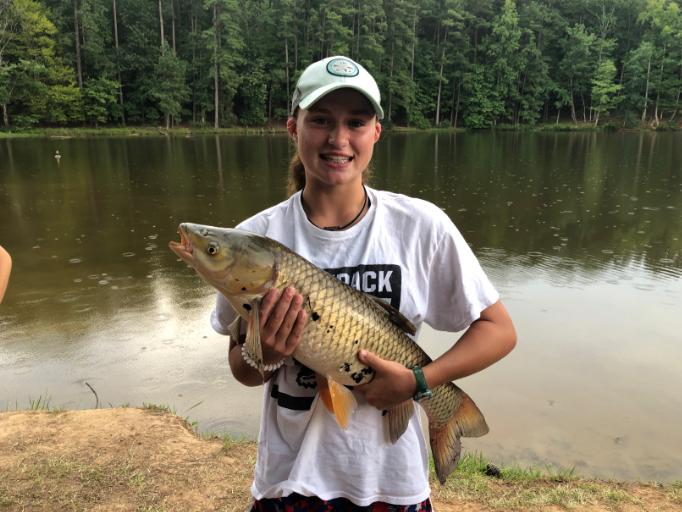 Overnight Session 3 (June 30-July 6)