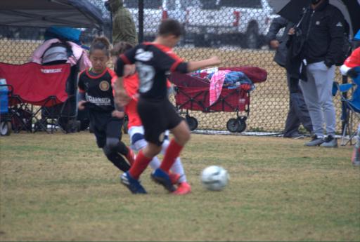 FORMS ACADEMY ALPHAFORMS 10 DEV (TXN) VS FORZA SPORT ACADEMIES FSA 10B BLACK (TXS)