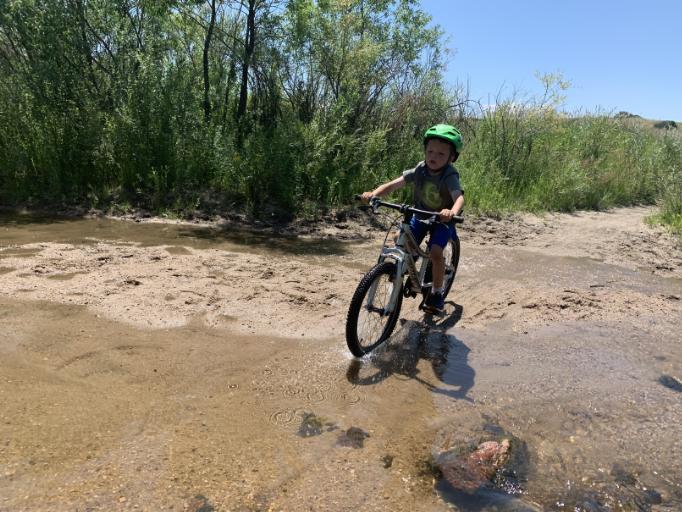 07/29/2019 - 08/02/2019