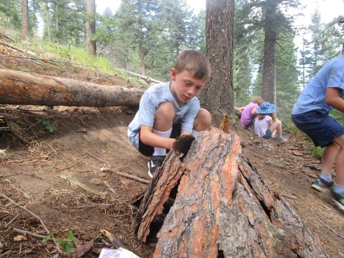 Survival Skills Camp 