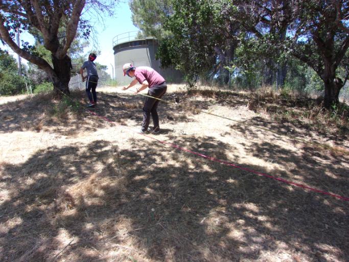 07/01/2019 - 07/05/2019