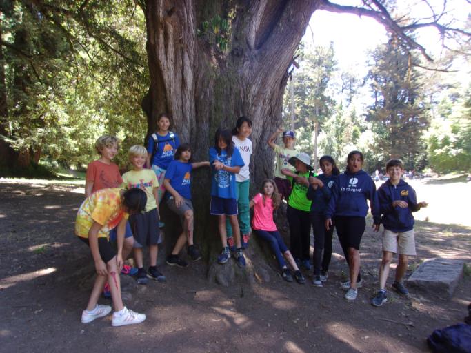 07/08/2019 - 07/12/2019