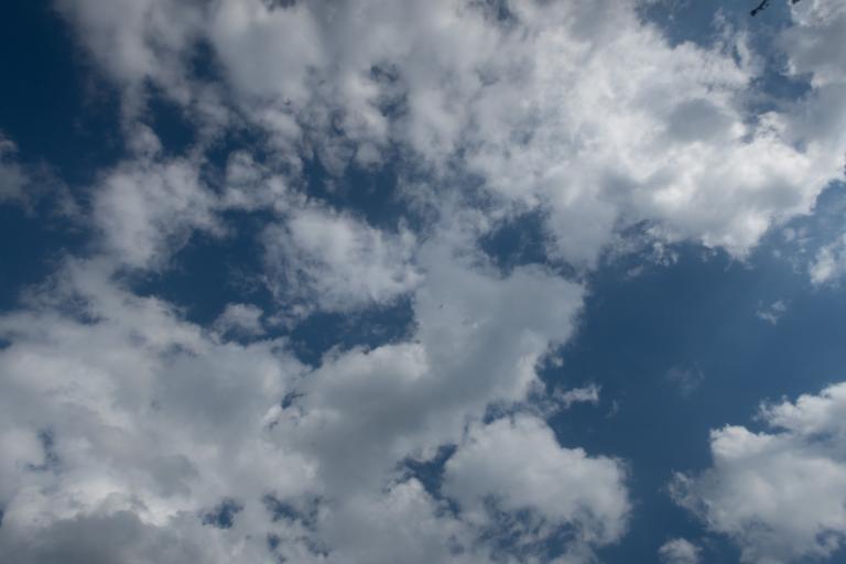 Three Week Session (July 9-30)