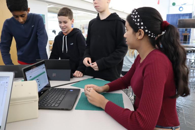 Pride and Prejudice Simulation 