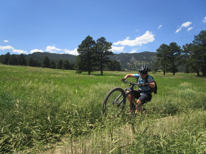 Mountain Biking Level 2 