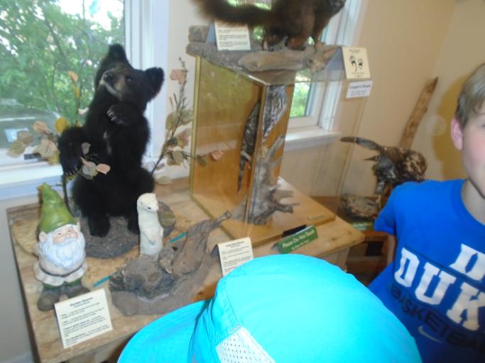 Survival Skills Camp