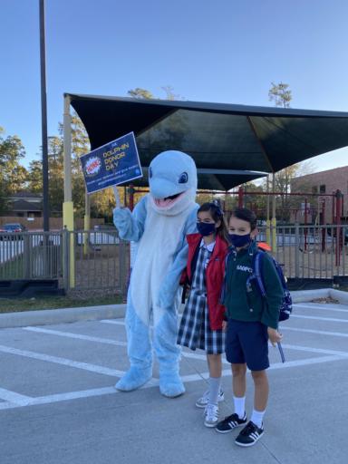 Dolphin Donor Day