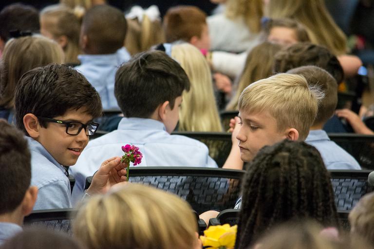 Flowering of the Cross